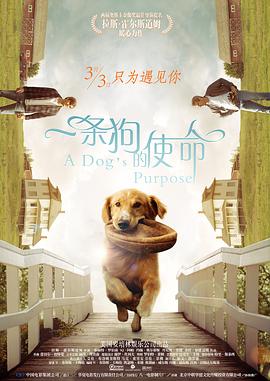 高俊杰的小情人